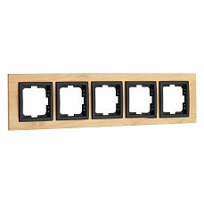 Рамка на 5 постов mono electric sty...